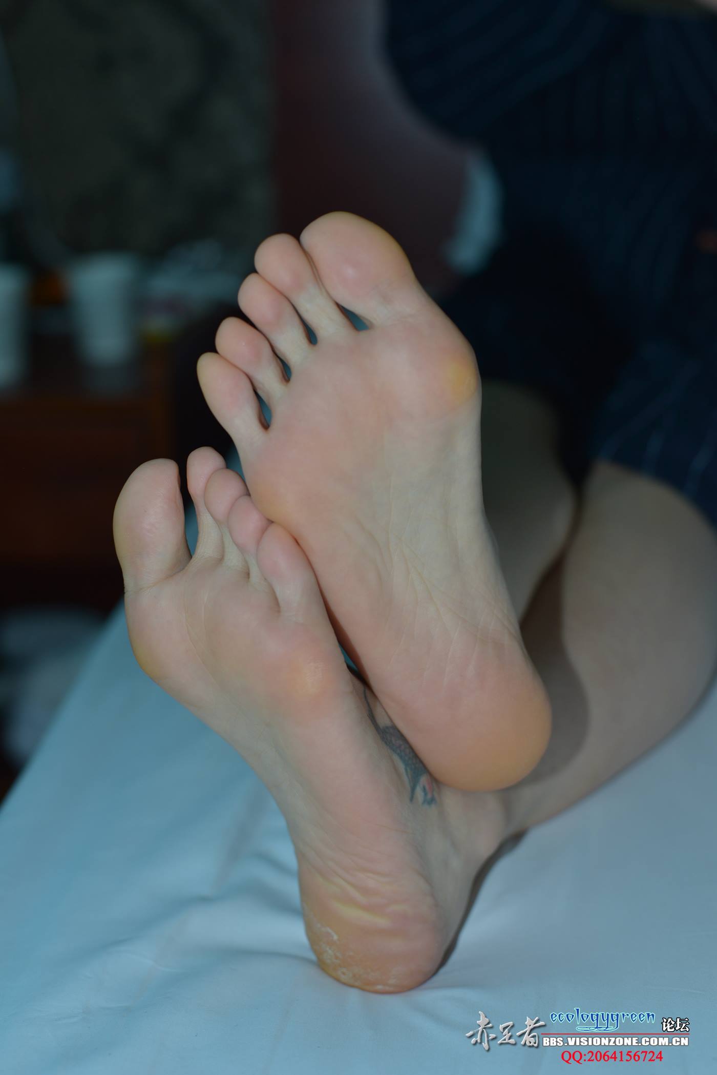 图片[27]-Ecologygreen摄影作品 NO.032 精致的每足[35P] – 速更版-美库