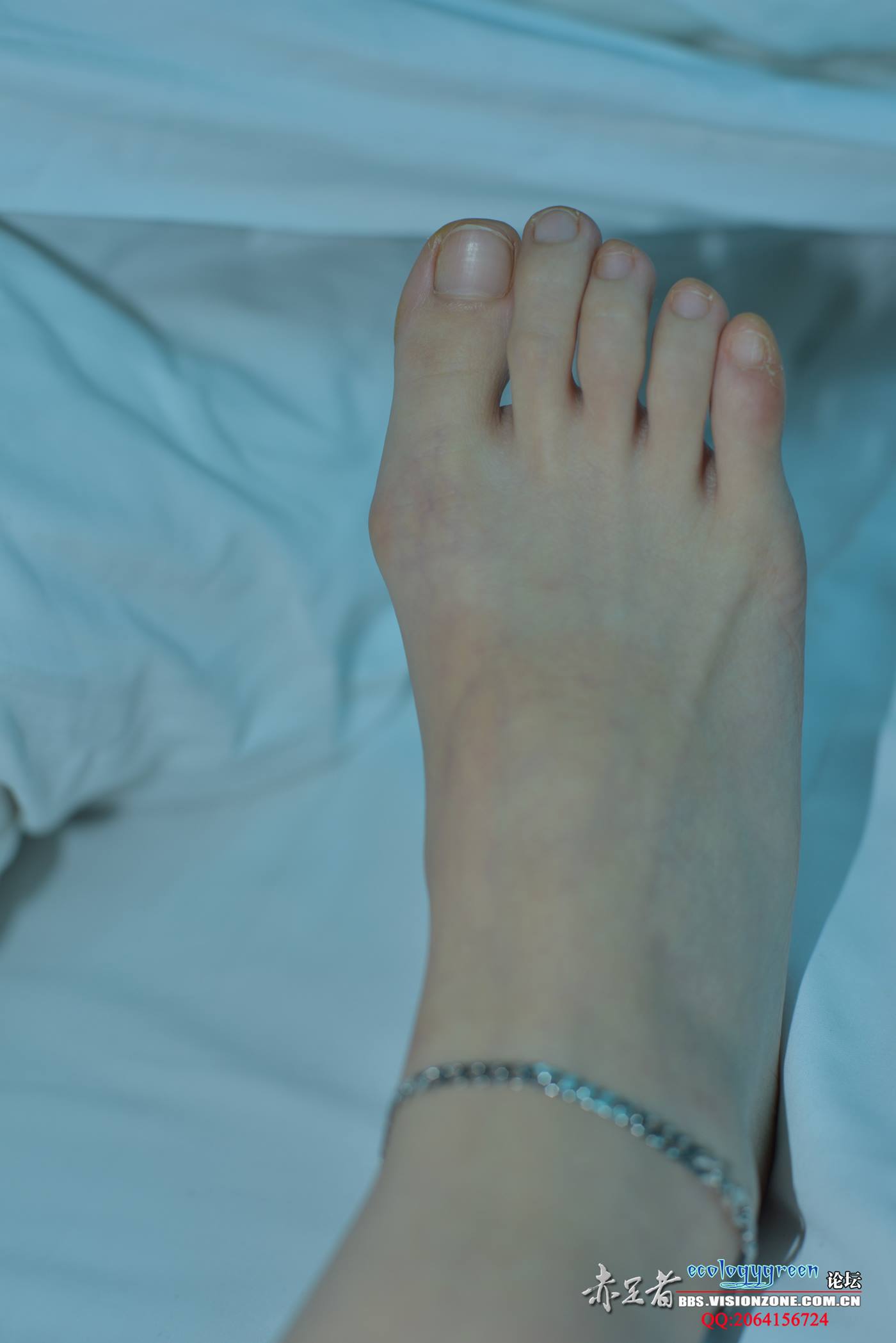 图片[31]-Ecologygreen摄影作品 NO.032 精致的每足[35P] – 速更版-美库