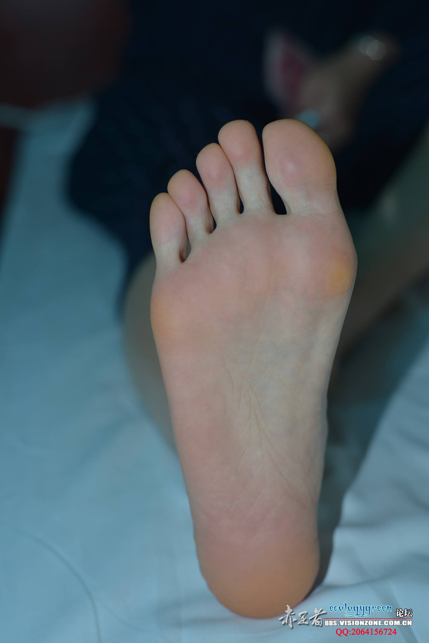 图片[36]-Ecologygreen摄影作品 NO.032 精致的每足[35P] – 速更版-美库