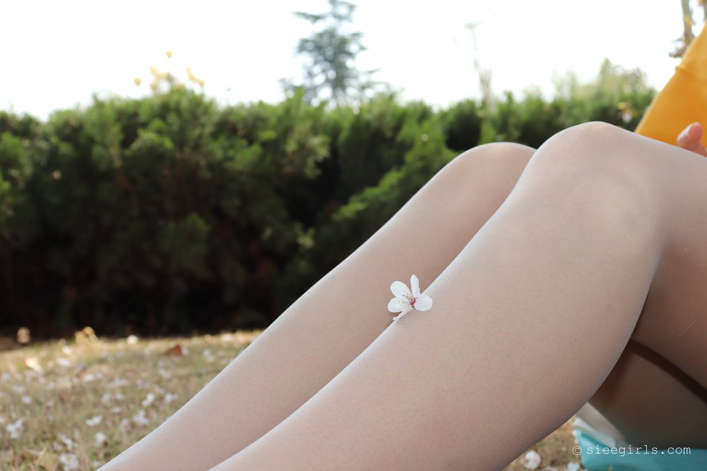 图片[14]-[SIEE丝意]新刊 NO.066 依依 不说再见[122P] – 速更版-美库