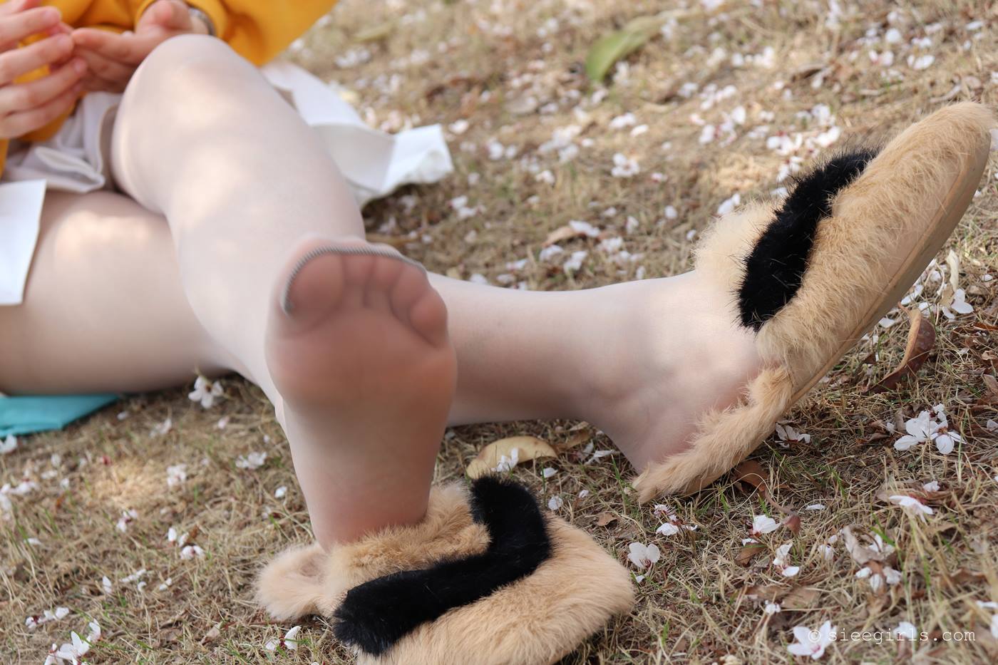 图片[50]-[SIEE丝意]新刊 NO.066 依依 不说再见[122P] – 速更版-美库