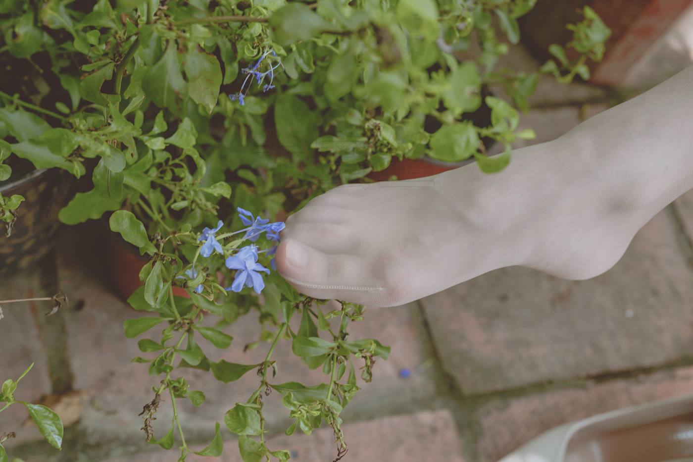 图片[32]-尤密思 No.001 穿搭推广展示图集 [69P] – 速更版-美库