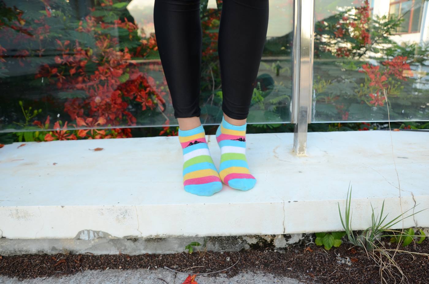 图片[85]-[战前女神] 美腿美足精品摄影套图 145 [101P] – 速更版-美库