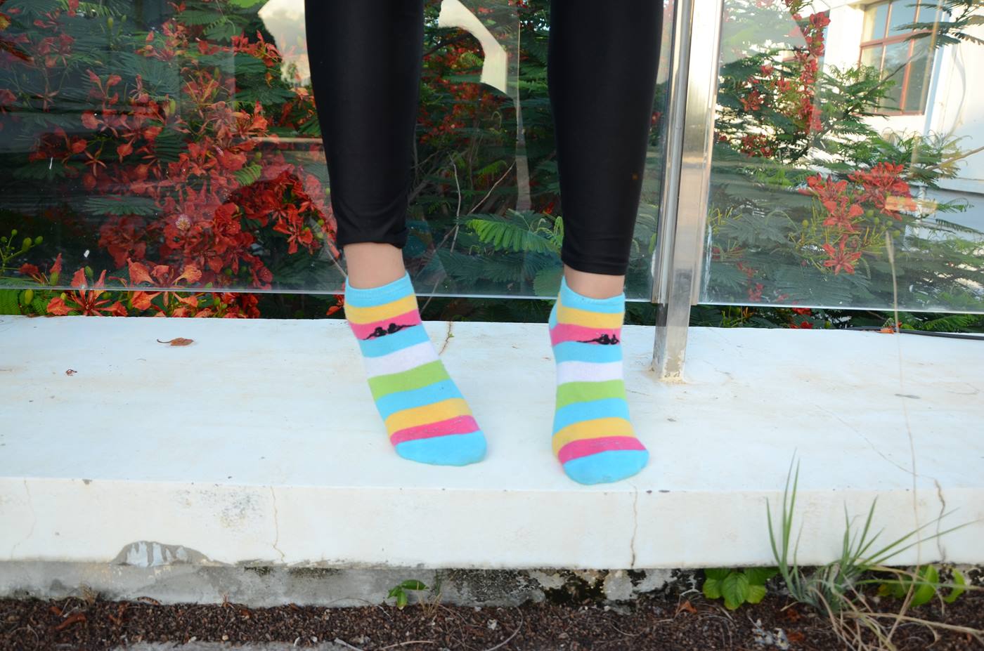 图片[86]-[战前女神] 美腿美足精品摄影套图 145 [101P] – 速更版-美库