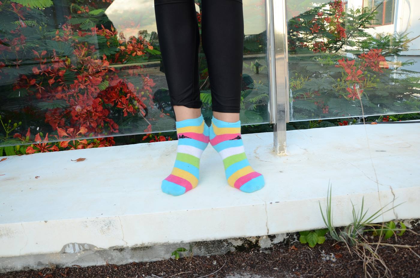 图片[87]-[战前女神] 美腿美足精品摄影套图 145 [101P] – 速更版-美库