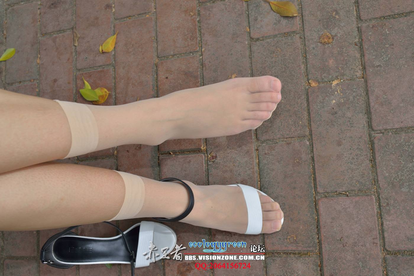 图片[20]-Ecologygreen摄影作品 NO.076 时尚美女的丝族[30P] – 速更版-美库