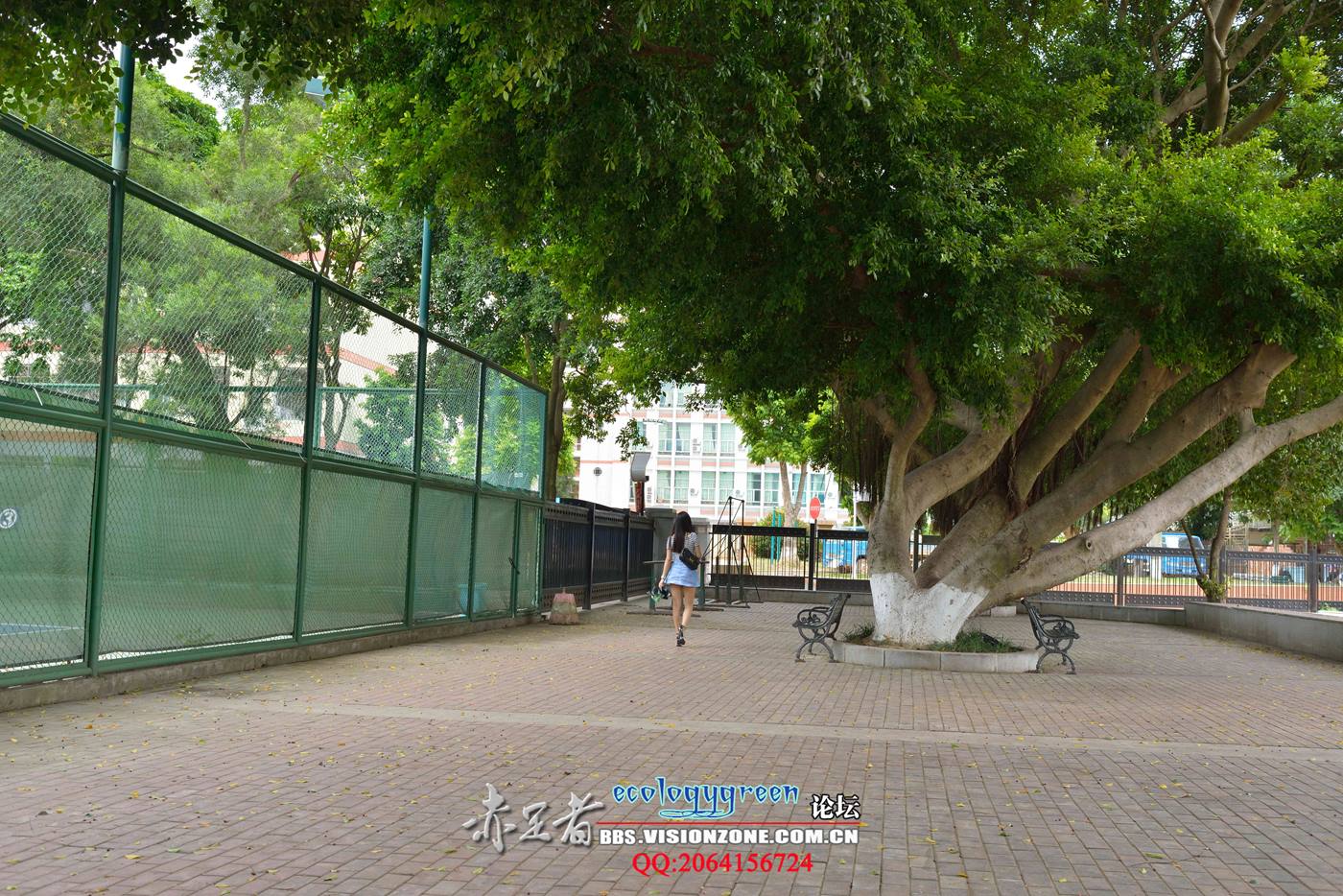 图片[23]-Ecologygreen摄影作品 NO.076 时尚美女的丝族[30P] – 速更版-美库