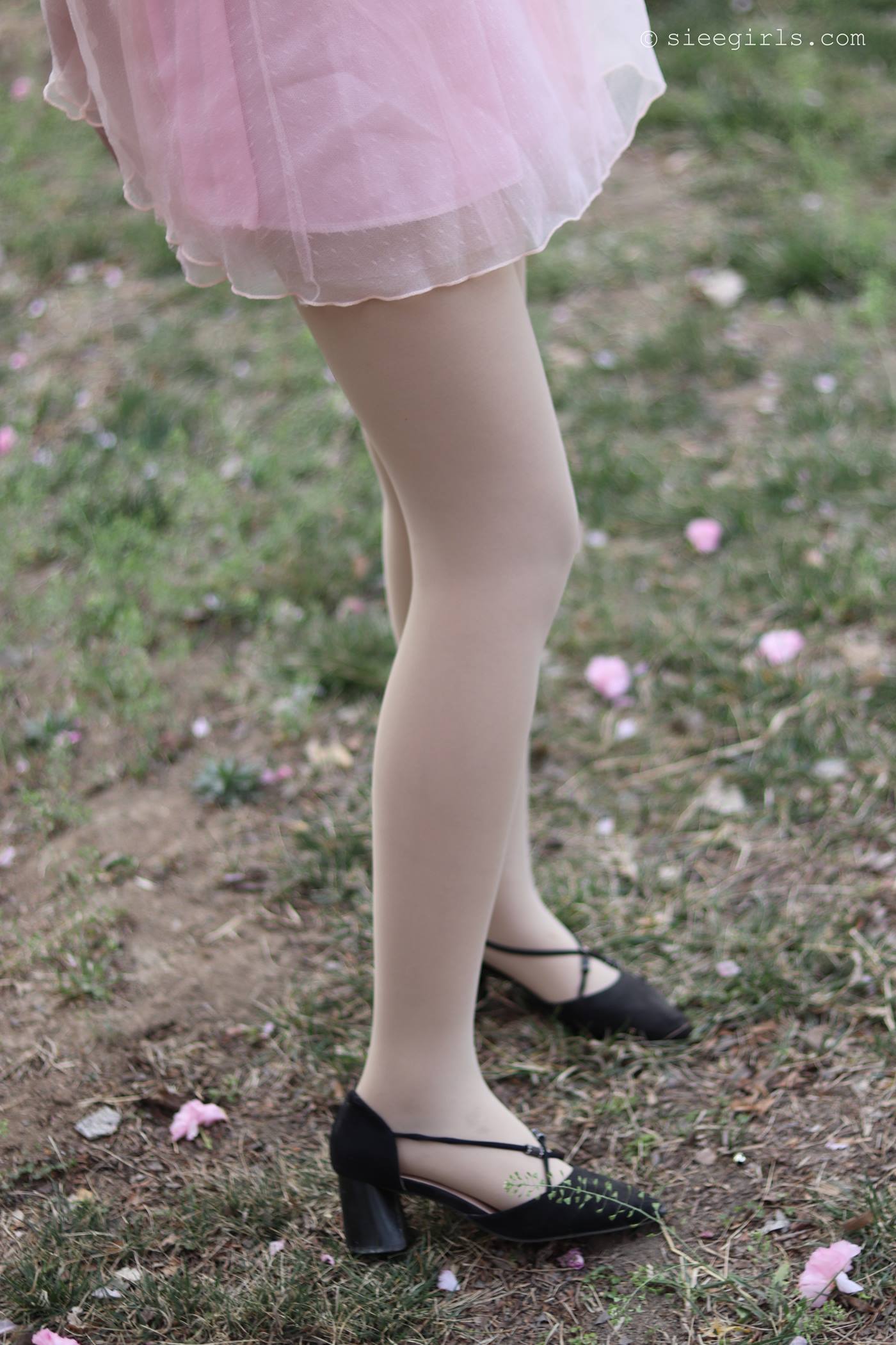 图片[31]-[SIEE丝意]新刊 NO.067 曦曦 风吹过[95P] – 速更版-美库