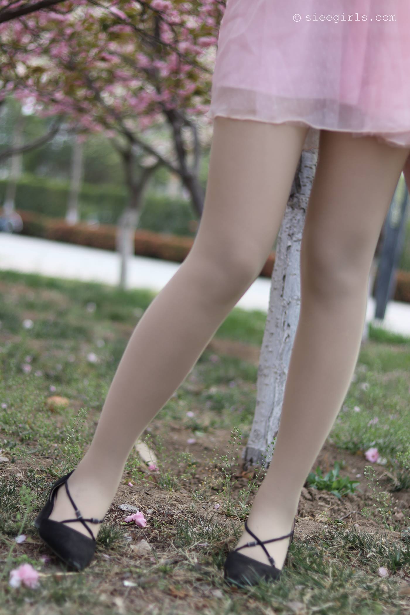 图片[32]-[SIEE丝意]新刊 NO.067 曦曦 风吹过[95P] – 速更版-美库