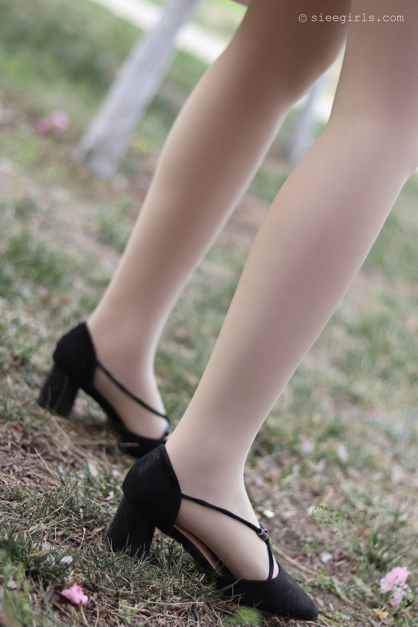 图片[64]-[SIEE丝意]新刊 NO.067 曦曦 风吹过[95P] – 速更版-美库