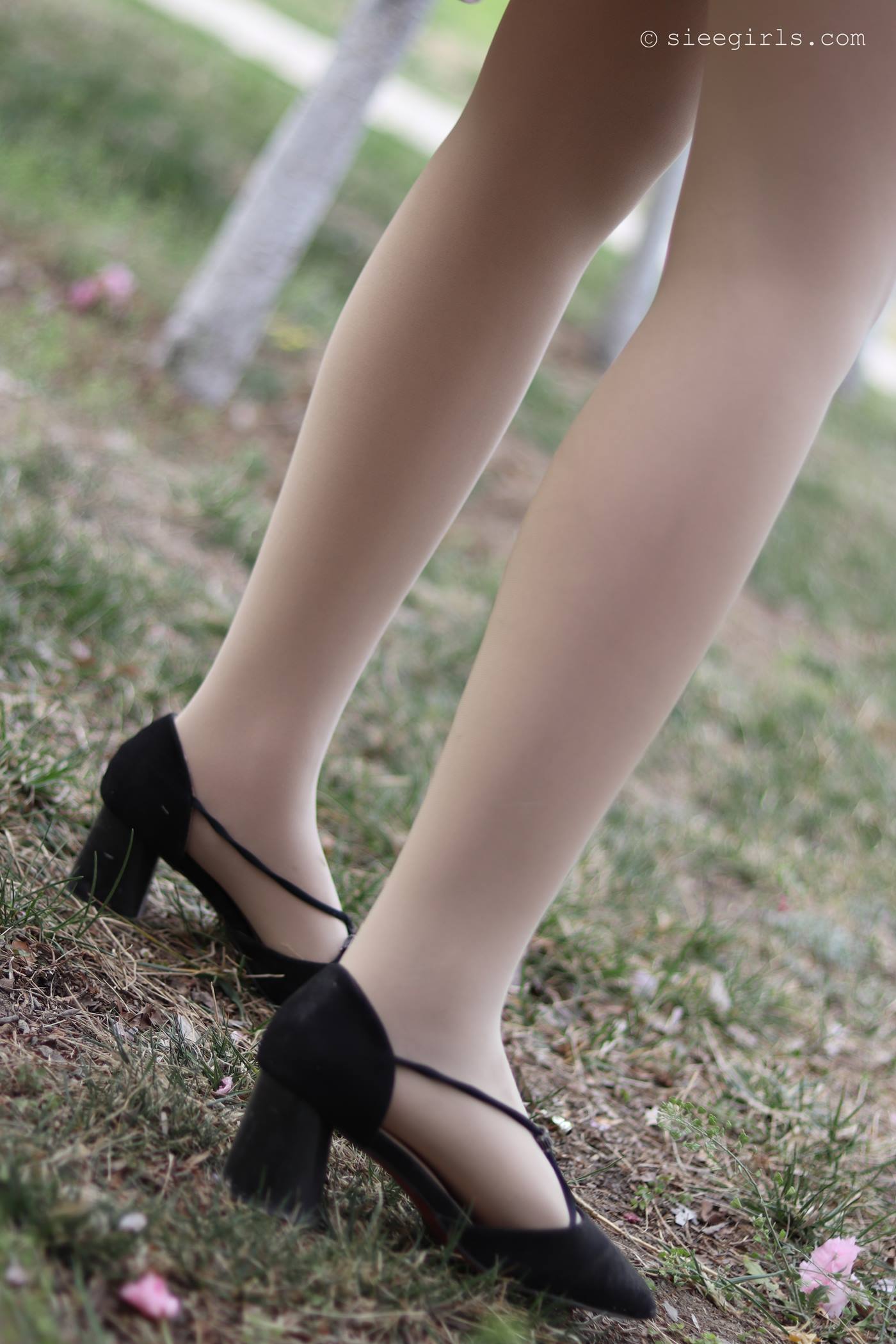 图片[65]-[SIEE丝意]新刊 NO.067 曦曦 风吹过[95P] – 速更版-美库