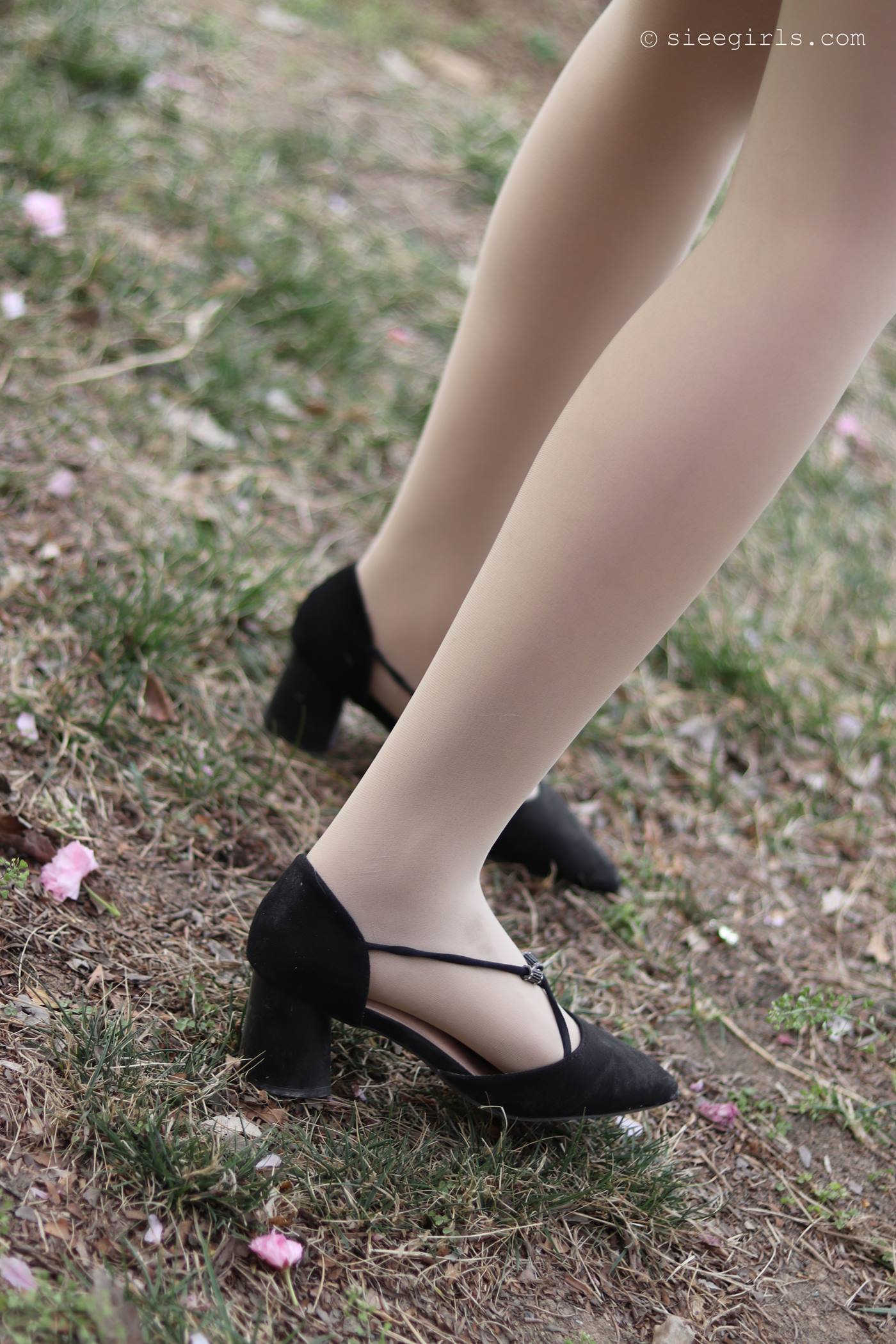 图片[66]-[SIEE丝意]新刊 NO.067 曦曦 风吹过[95P] – 速更版-美库