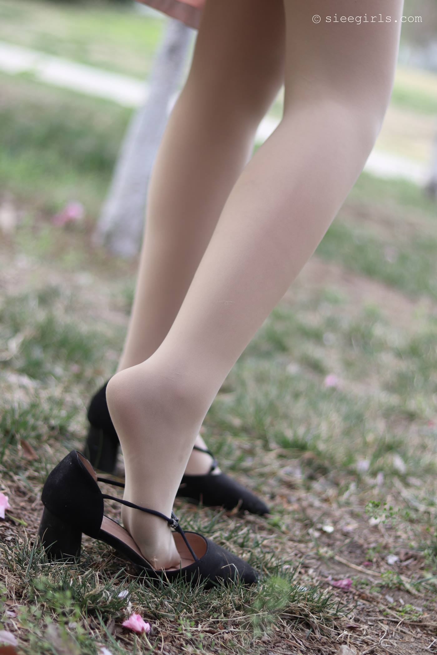 图片[68]-[SIEE丝意]新刊 NO.067 曦曦 风吹过[95P] – 速更版-美库