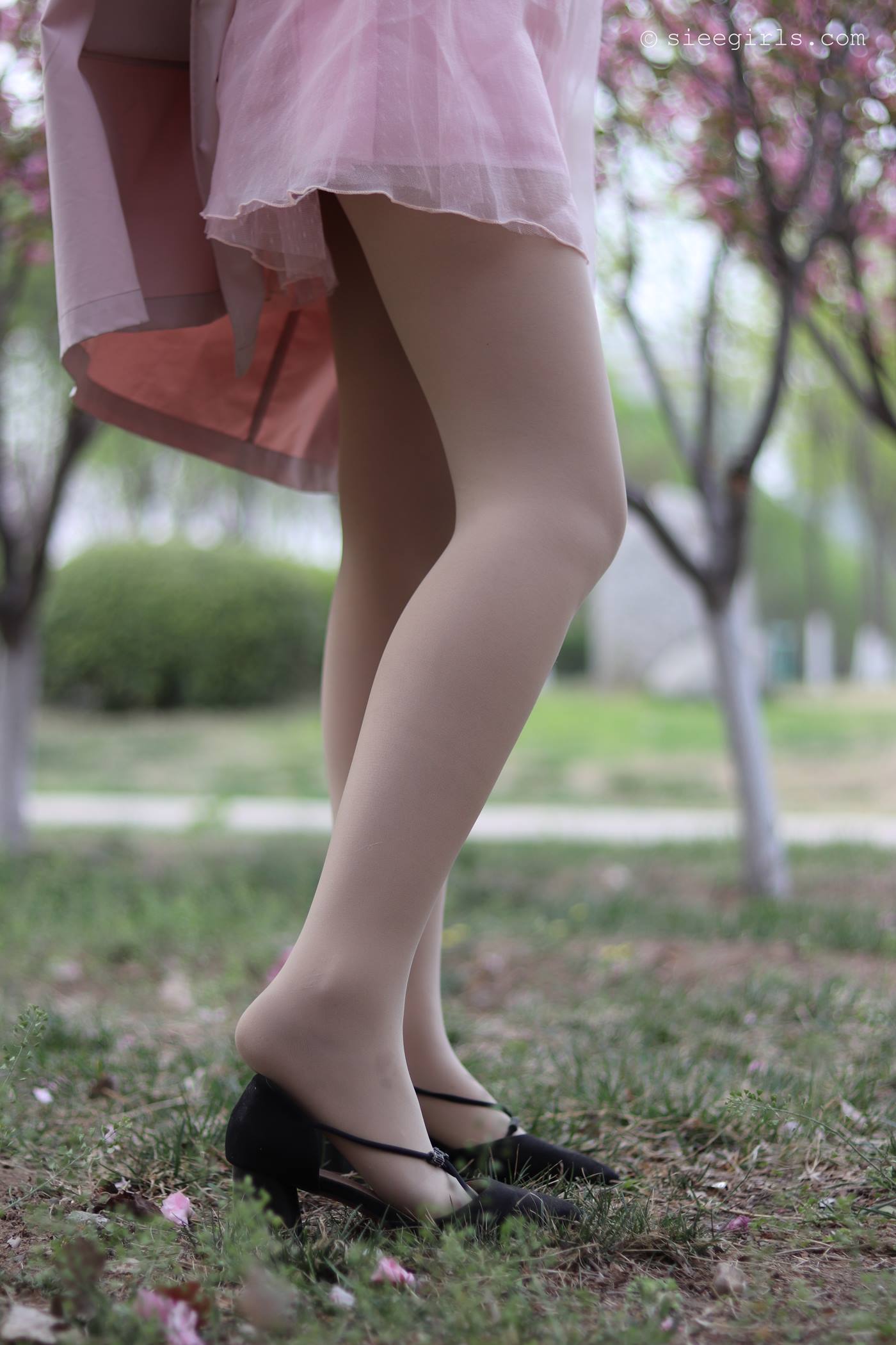 图片[72]-[SIEE丝意]新刊 NO.067 曦曦 风吹过[95P] – 速更版-美库