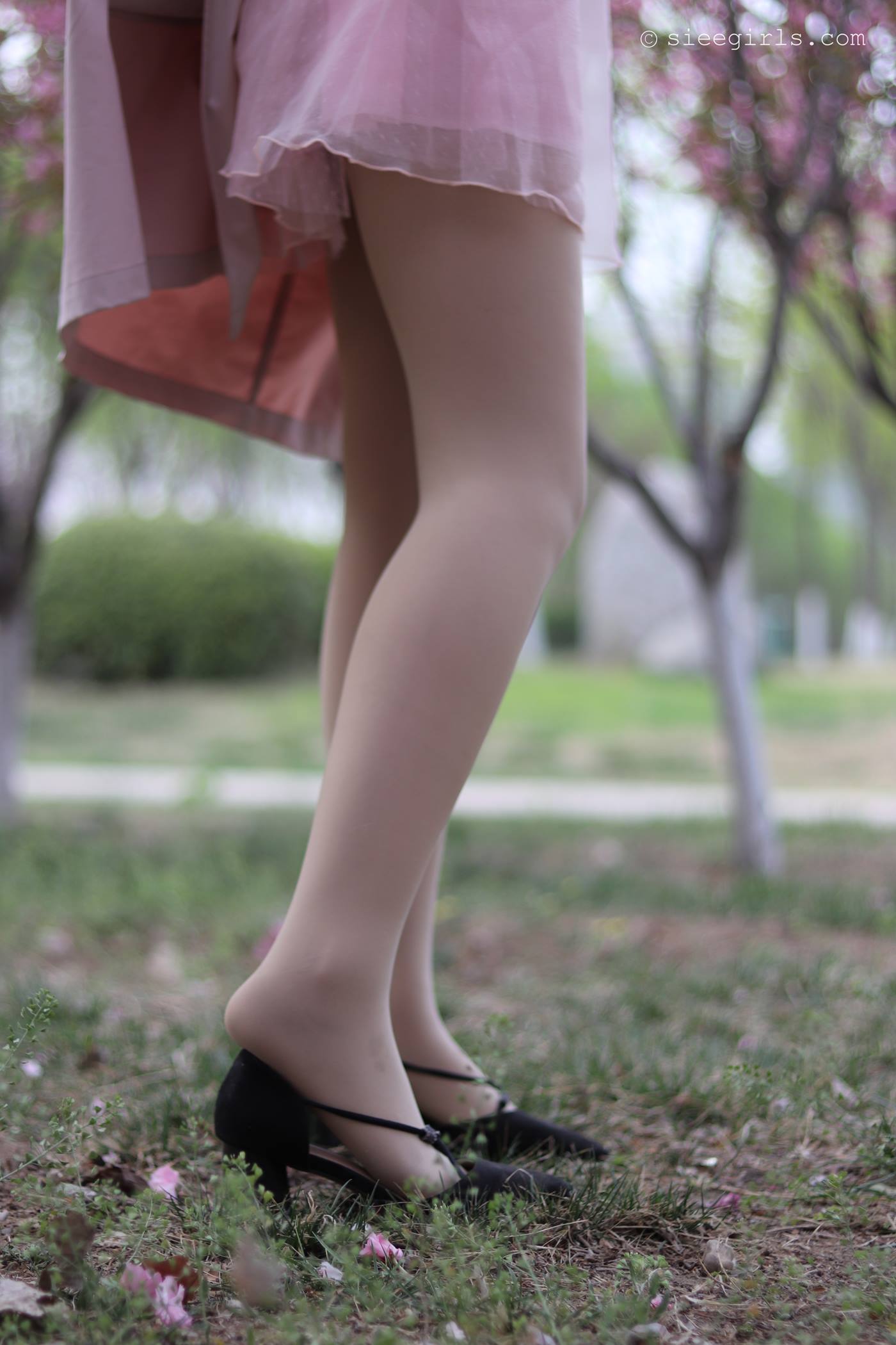 图片[73]-[SIEE丝意]新刊 NO.067 曦曦 风吹过[95P] – 速更版-美库