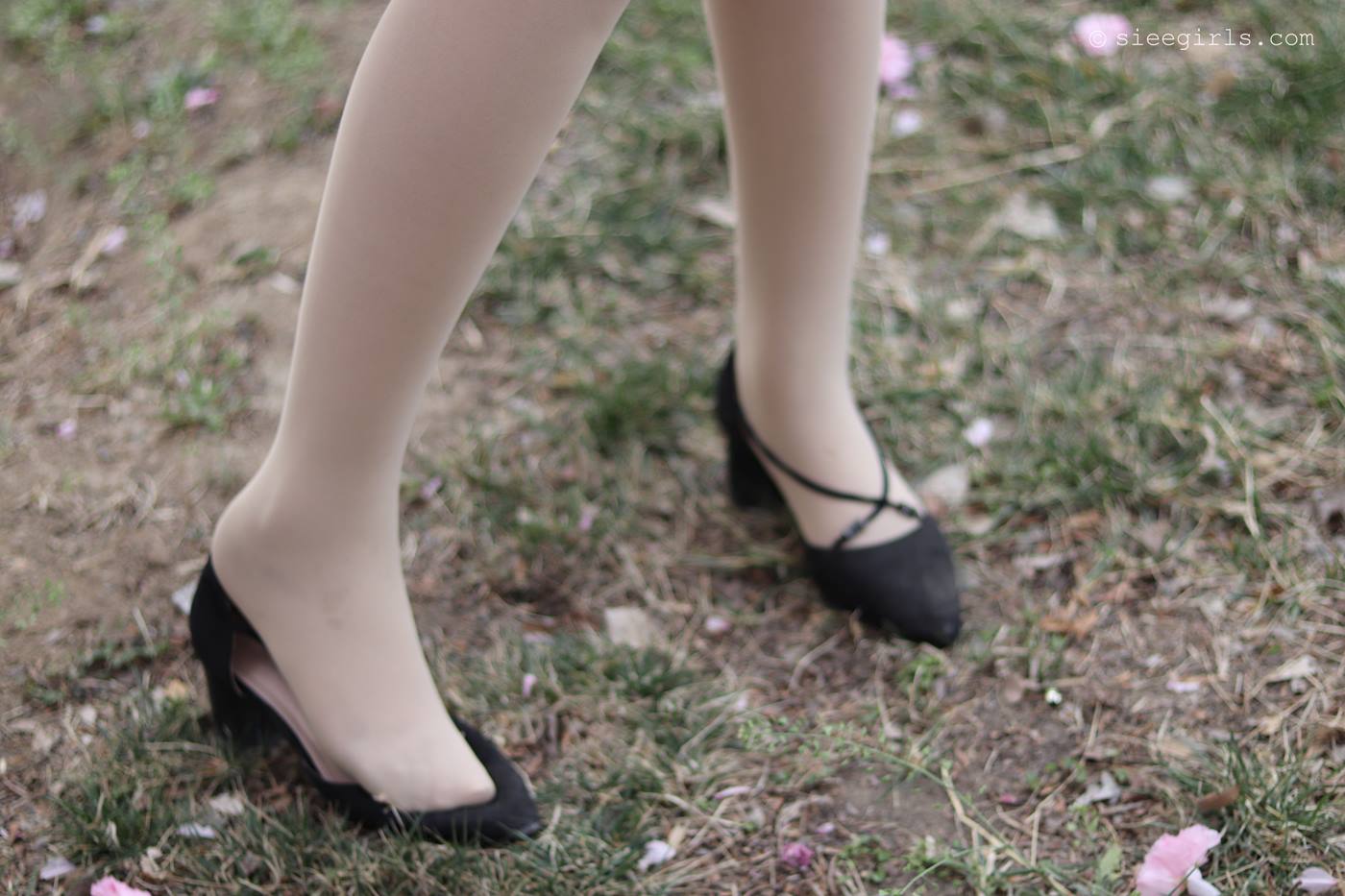 图片[76]-[SIEE丝意]新刊 NO.067 曦曦 风吹过[95P] – 速更版-美库