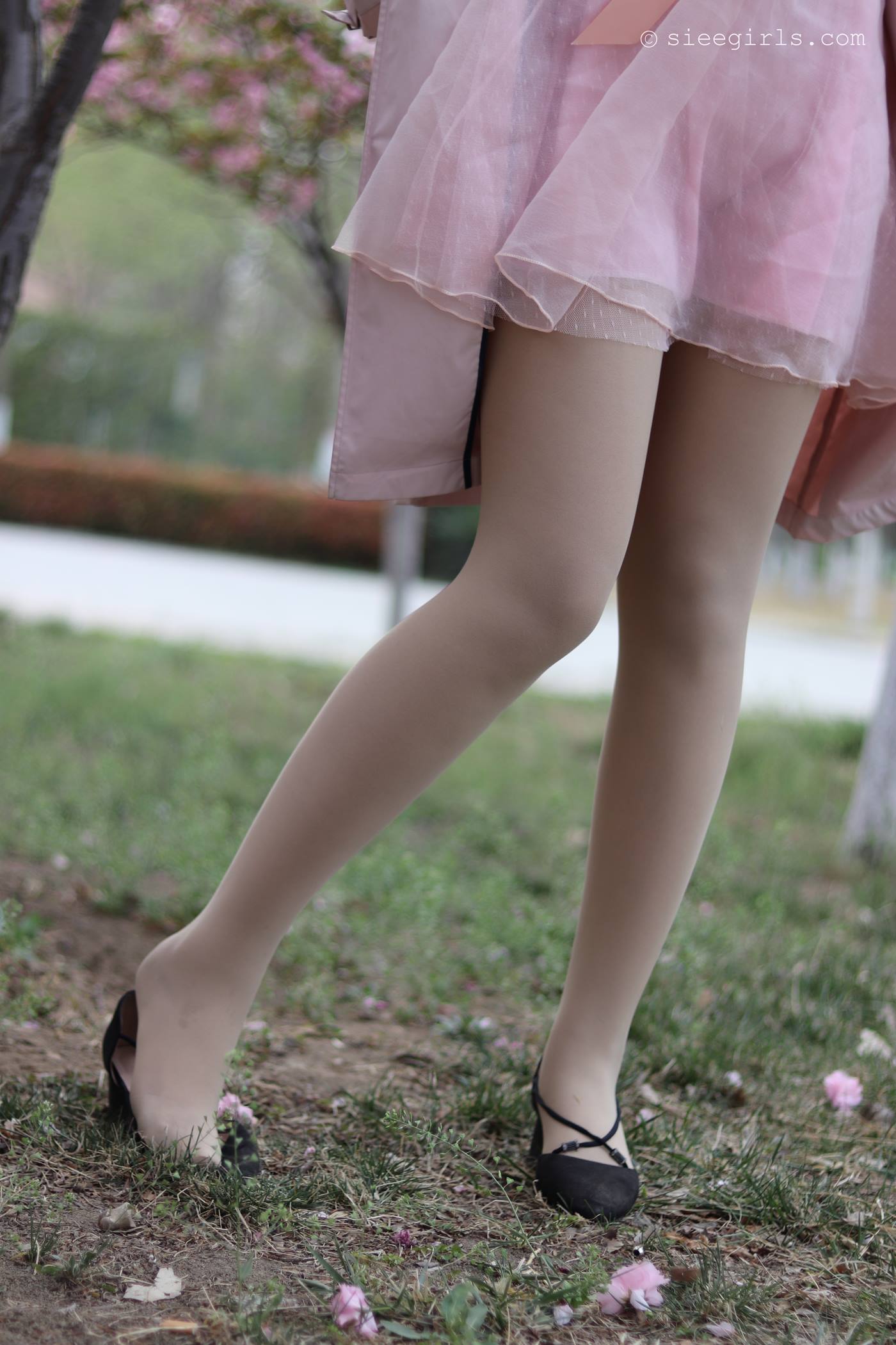 图片[81]-[SIEE丝意]新刊 NO.067 曦曦 风吹过[95P] – 速更版-美库