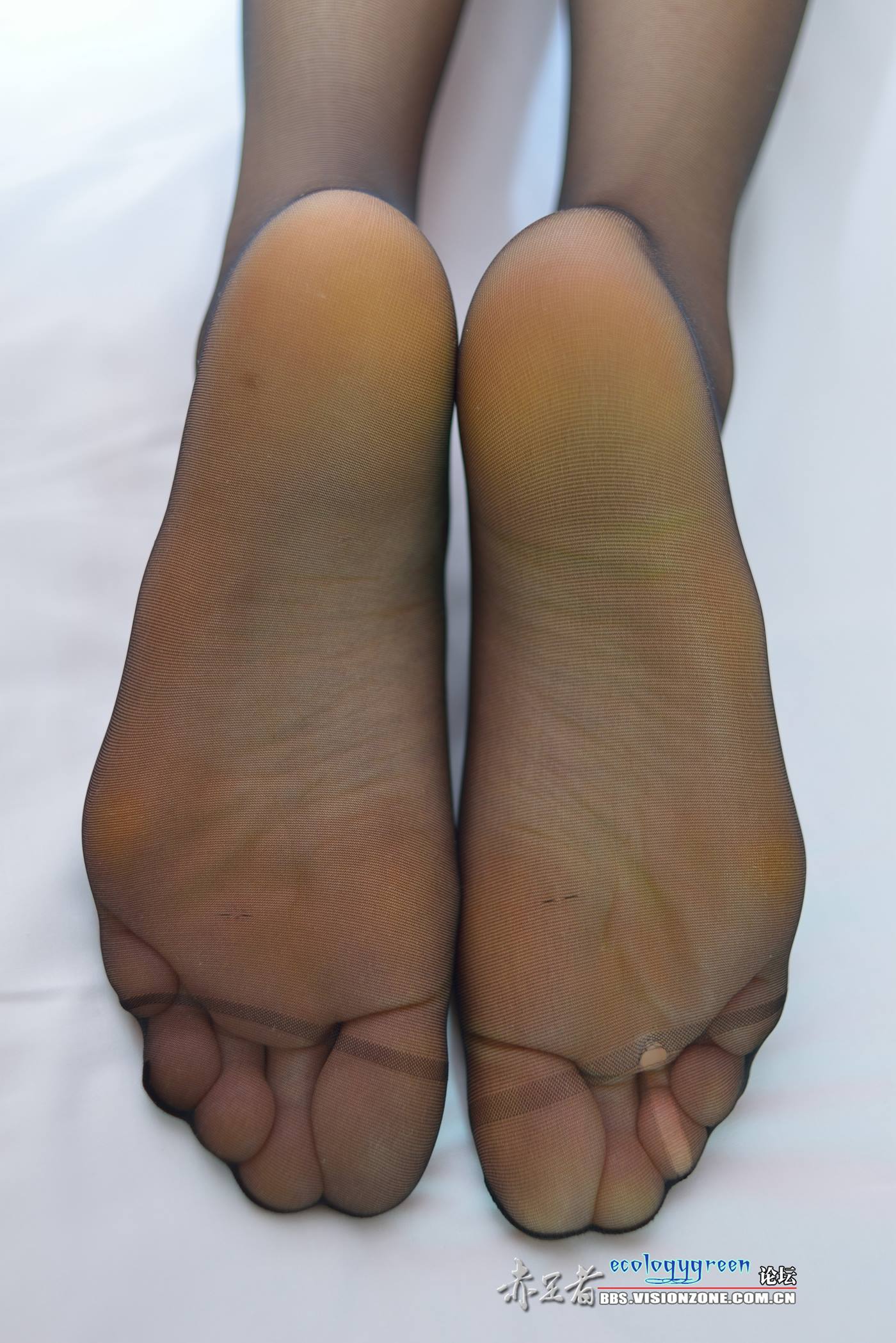 图片[13]-Ecologygreen摄影作品 NO.080 私房长腿丝族[42P] – 速更版-美库
