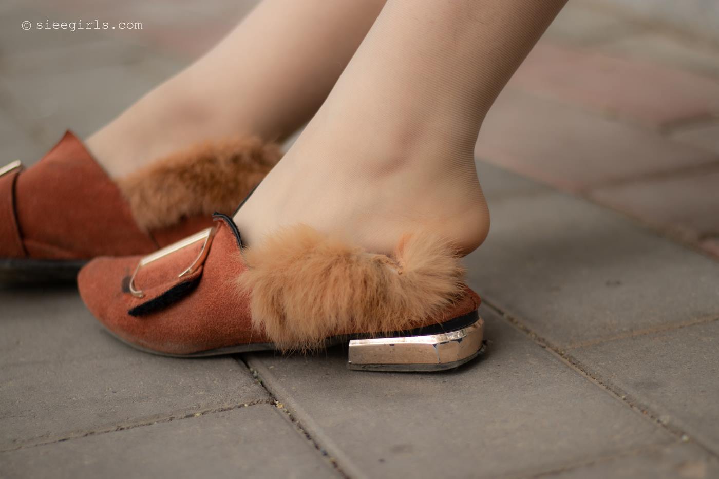 图片[30]-[SIEE丝意]新刊 NO.069 曦曦 最美年华[61P] – 速更版-美库