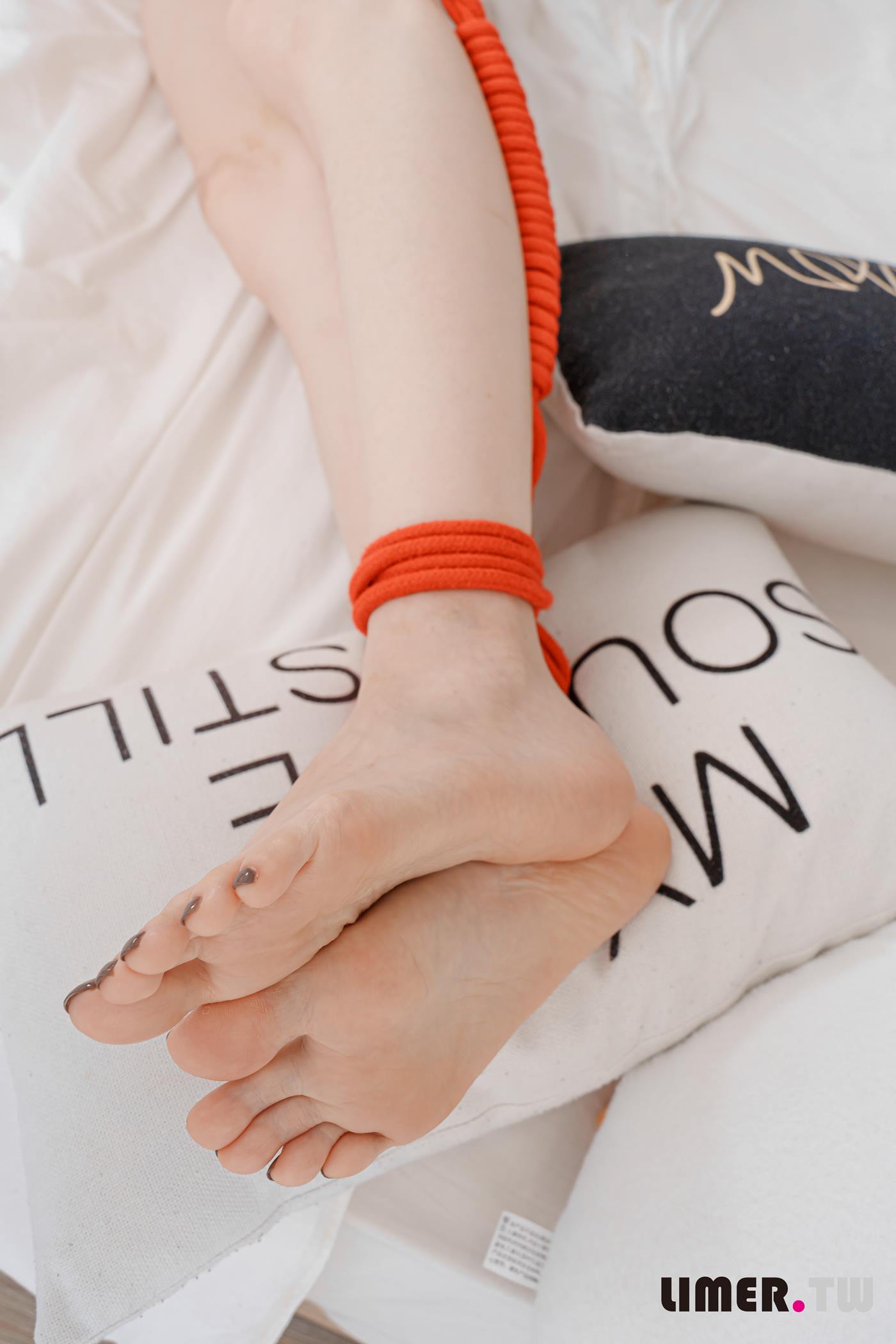 图片[65]-Limerence原创 NO.079 Michii 小乳牛翘班被抓包惨遭五花大绑[82P] – 速更版-美库