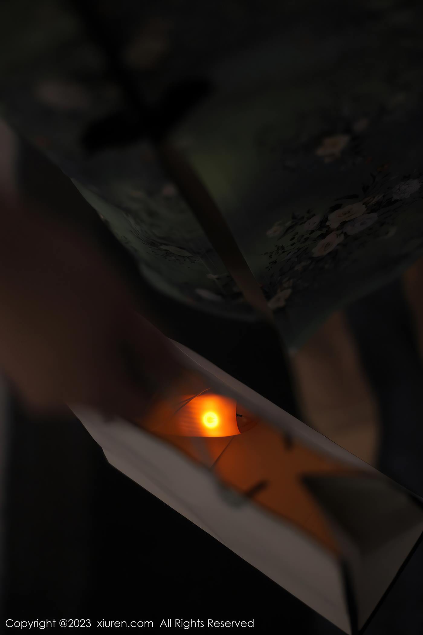 图片[20]-[Xiuren秀人网]2023.03.24 NO.6464 Arude薇薇[19+1P] – 速更版-美库