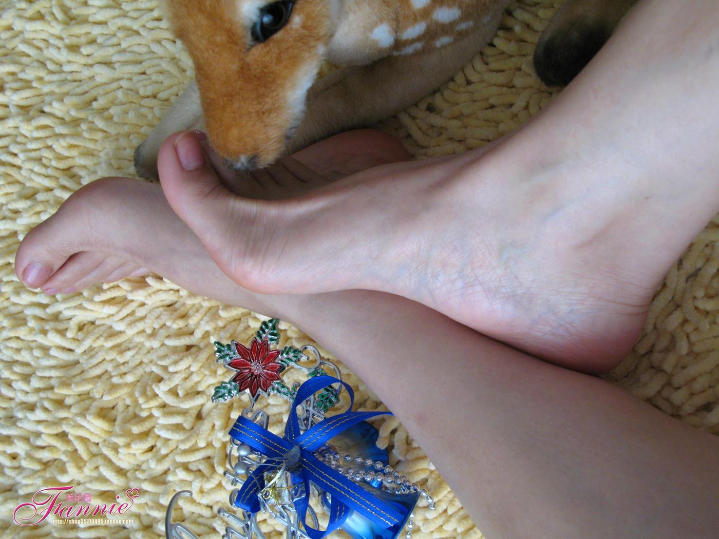 图片[15]-Fannie芬妮美足园 No.003 2008圣诞快乐（裸足） [59P] – 速更版-美库