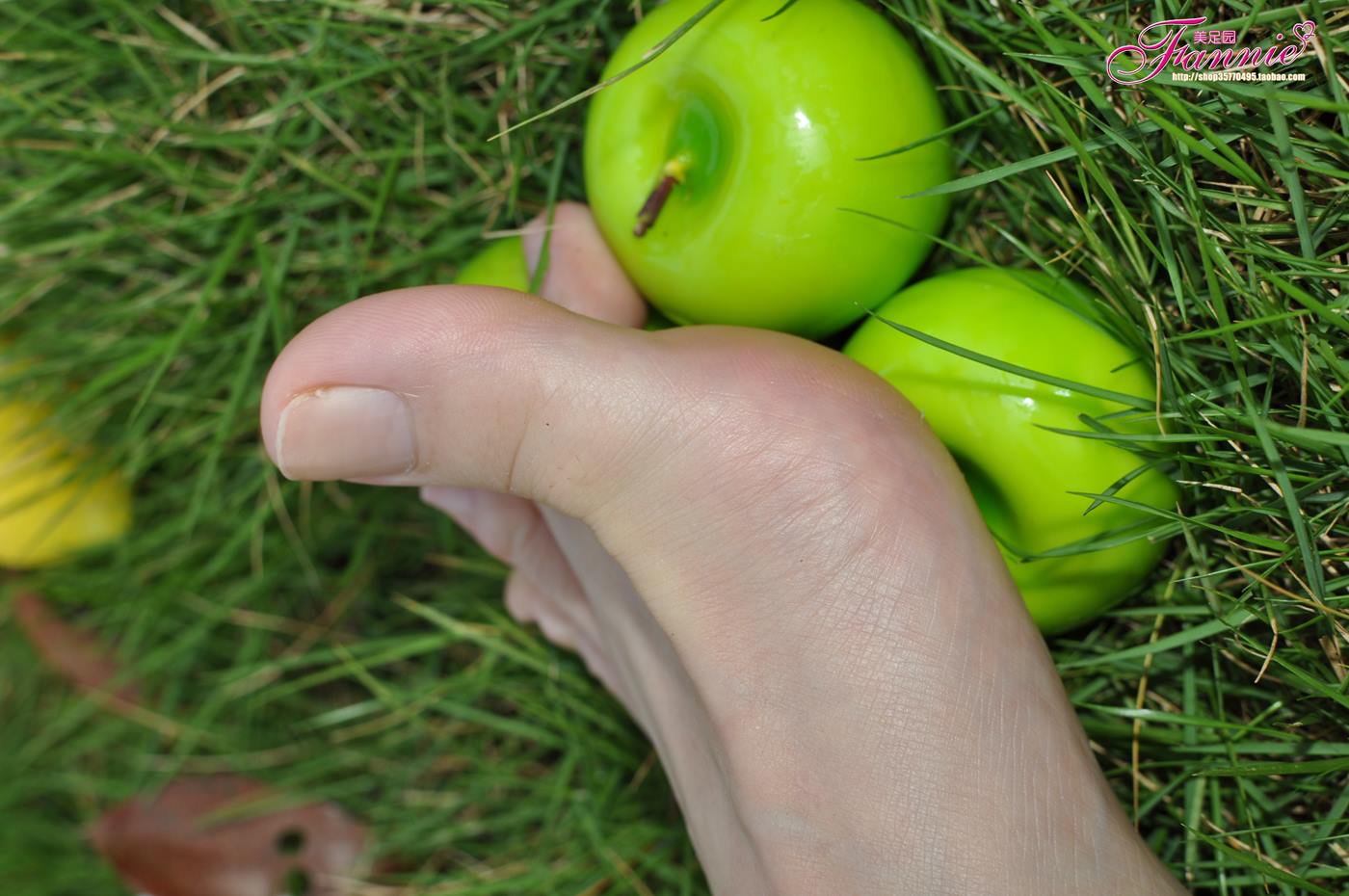 图片[13]-Fannie芬妮美足园 008 2010中秋快乐（上）[61P] – 速更版-美库