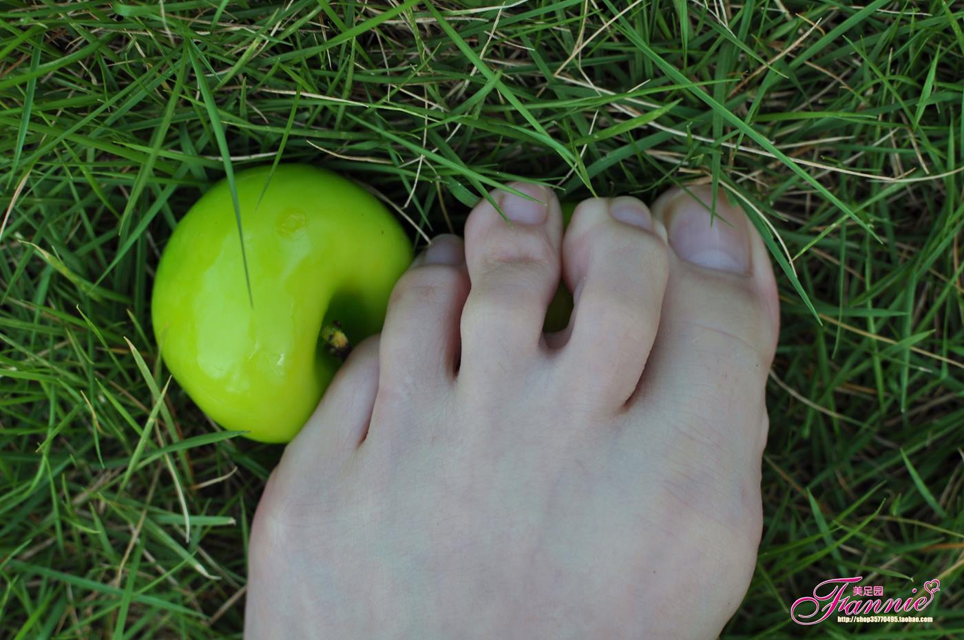 图片[14]-Fannie芬妮美足园 008 2010中秋快乐（上）[61P] – 速更版-美库