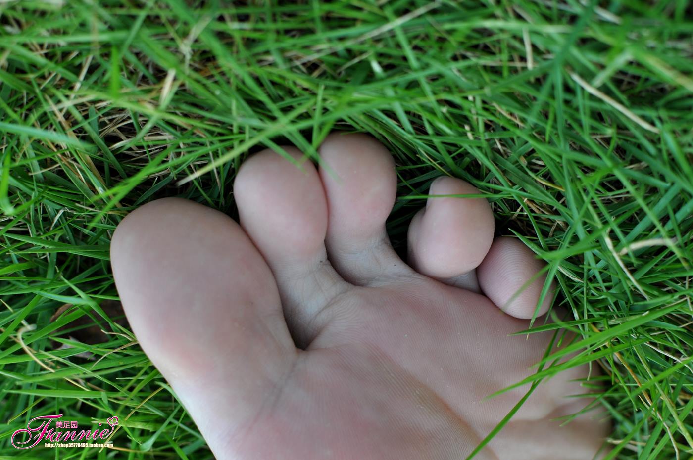 图片[26]-Fannie芬妮美足园 008 2010中秋快乐（上）[61P] – 速更版-美库