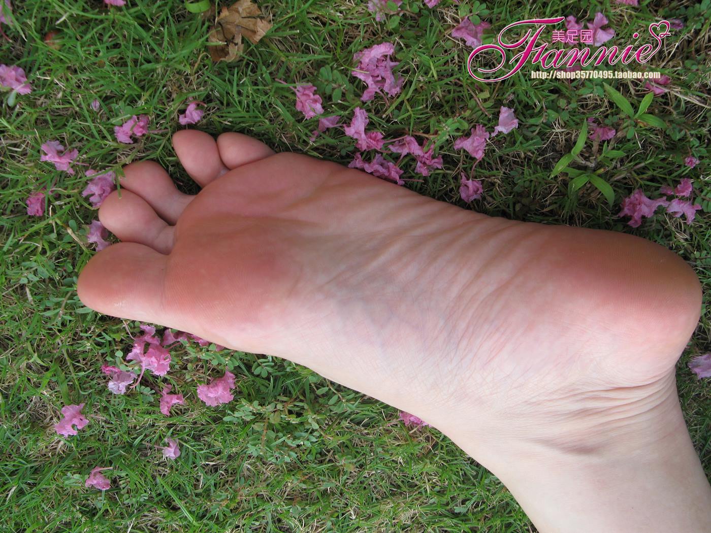 图片[37]-Fannie芬妮美足园 No.018 沾花惹草 [54P] – 速更版-美库