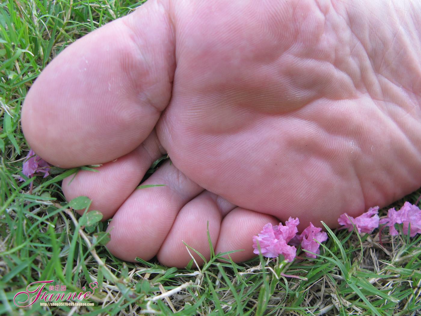 图片[39]-Fannie芬妮美足园 No.018 沾花惹草 [54P] – 速更版-美库