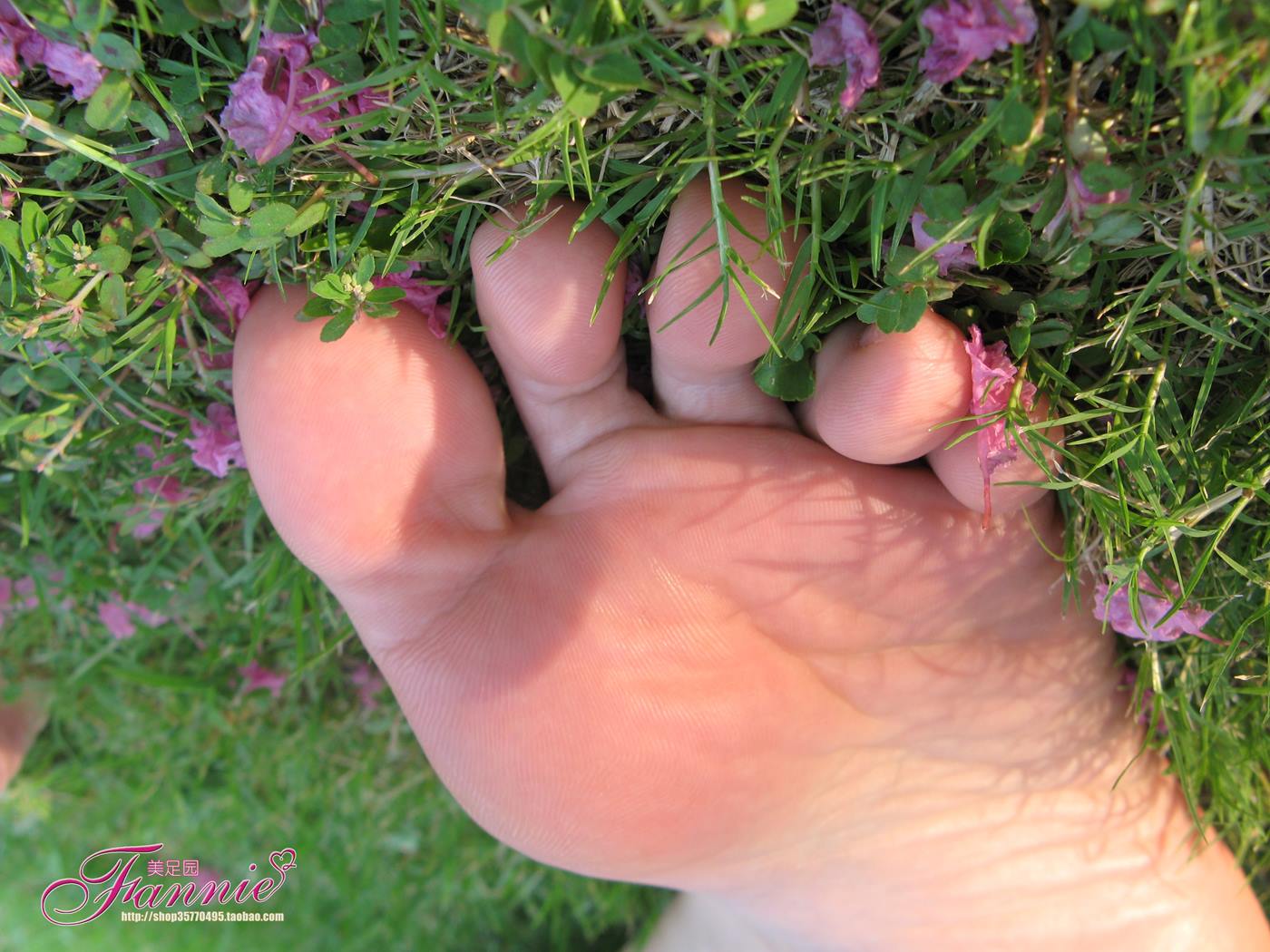 图片[40]-Fannie芬妮美足园 No.018 沾花惹草 [54P] – 速更版-美库