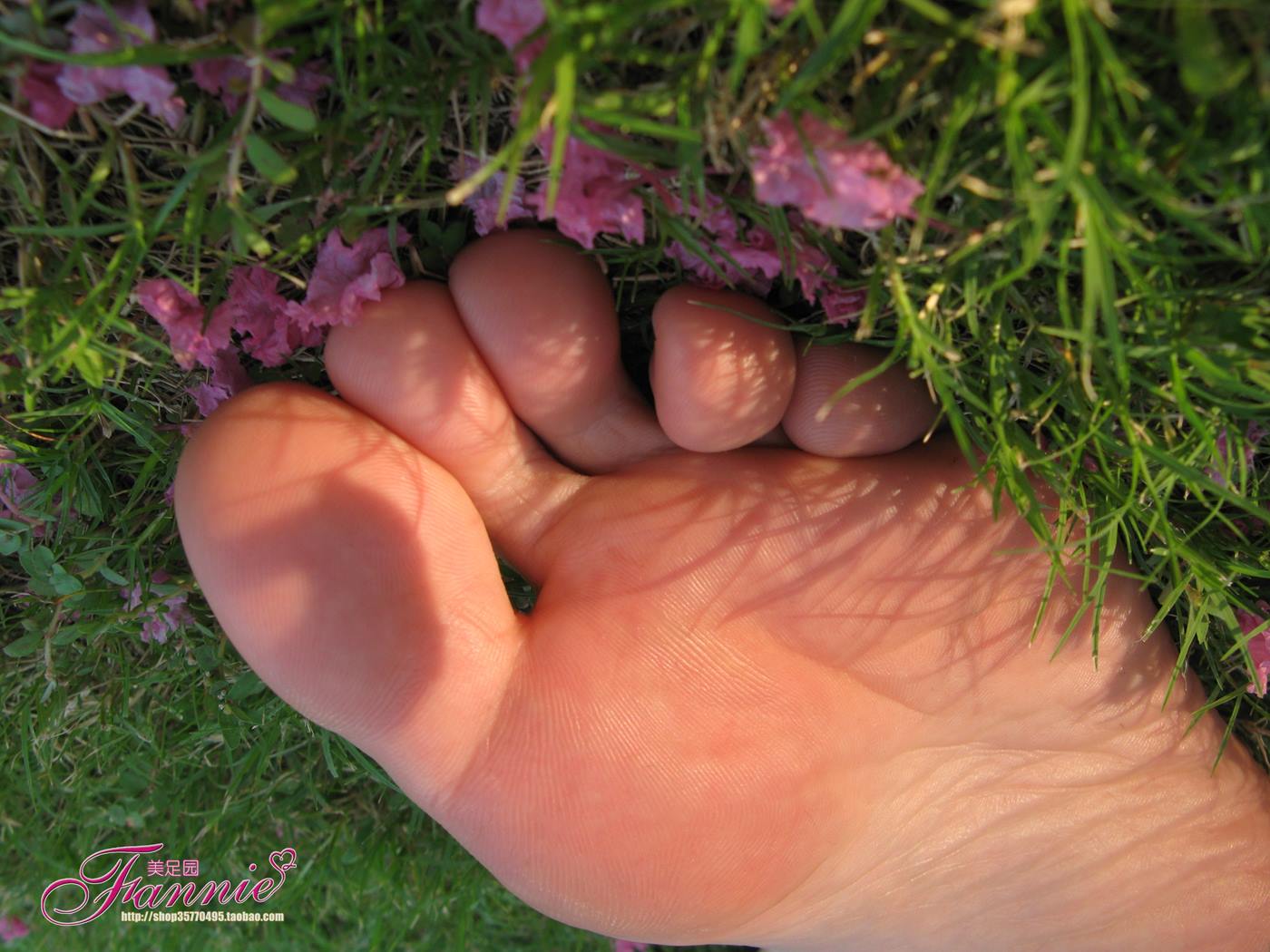 图片[41]-Fannie芬妮美足园 No.018 沾花惹草 [54P] – 速更版-美库