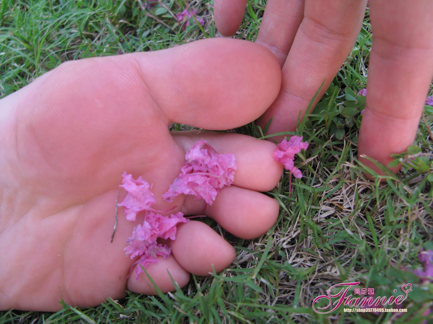 图片[46]-Fannie芬妮美足园 No.018 沾花惹草 [54P] – 速更版-美库