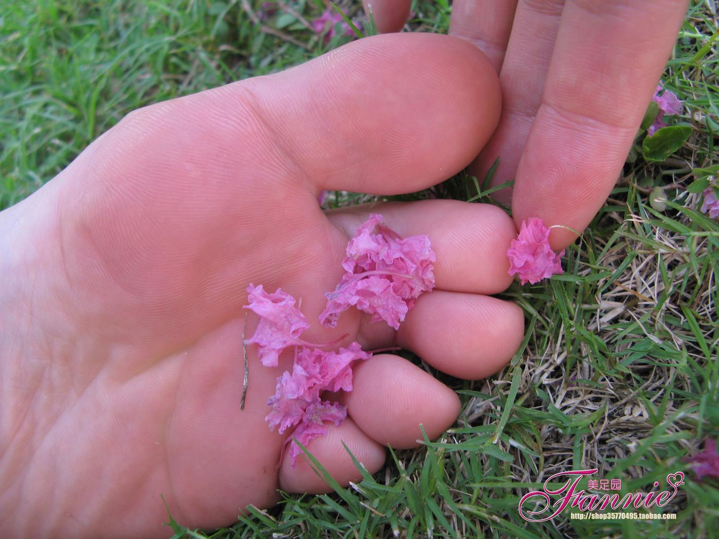 图片[47]-Fannie芬妮美足园 No.018 沾花惹草 [54P] – 速更版-美库