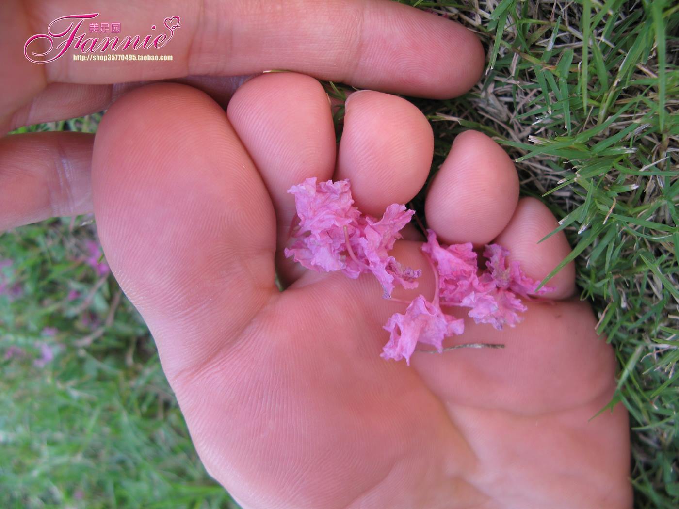 图片[48]-Fannie芬妮美足园 No.018 沾花惹草 [54P] – 速更版-美库