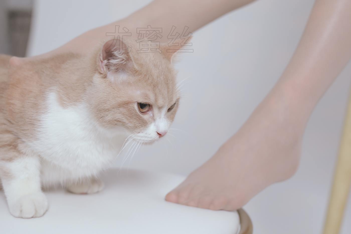 图片[39]-尤密思 No.011 穿搭推广展示图集 [72P] – 速更版-美库