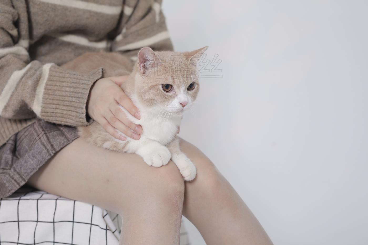 图片[45]-尤密思 No.011 穿搭推广展示图集 [72P] – 速更版-美库