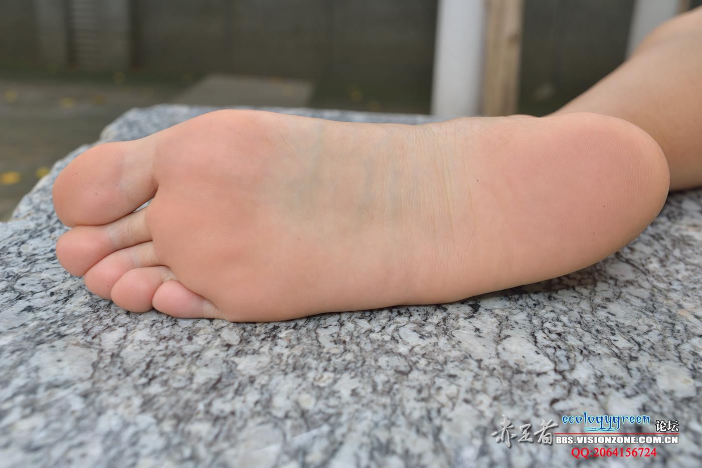 图片[45]-Ecologygreen摄影作品 NO.099 小梅修长很有质感的玉足 [59P] – 速更版-美库