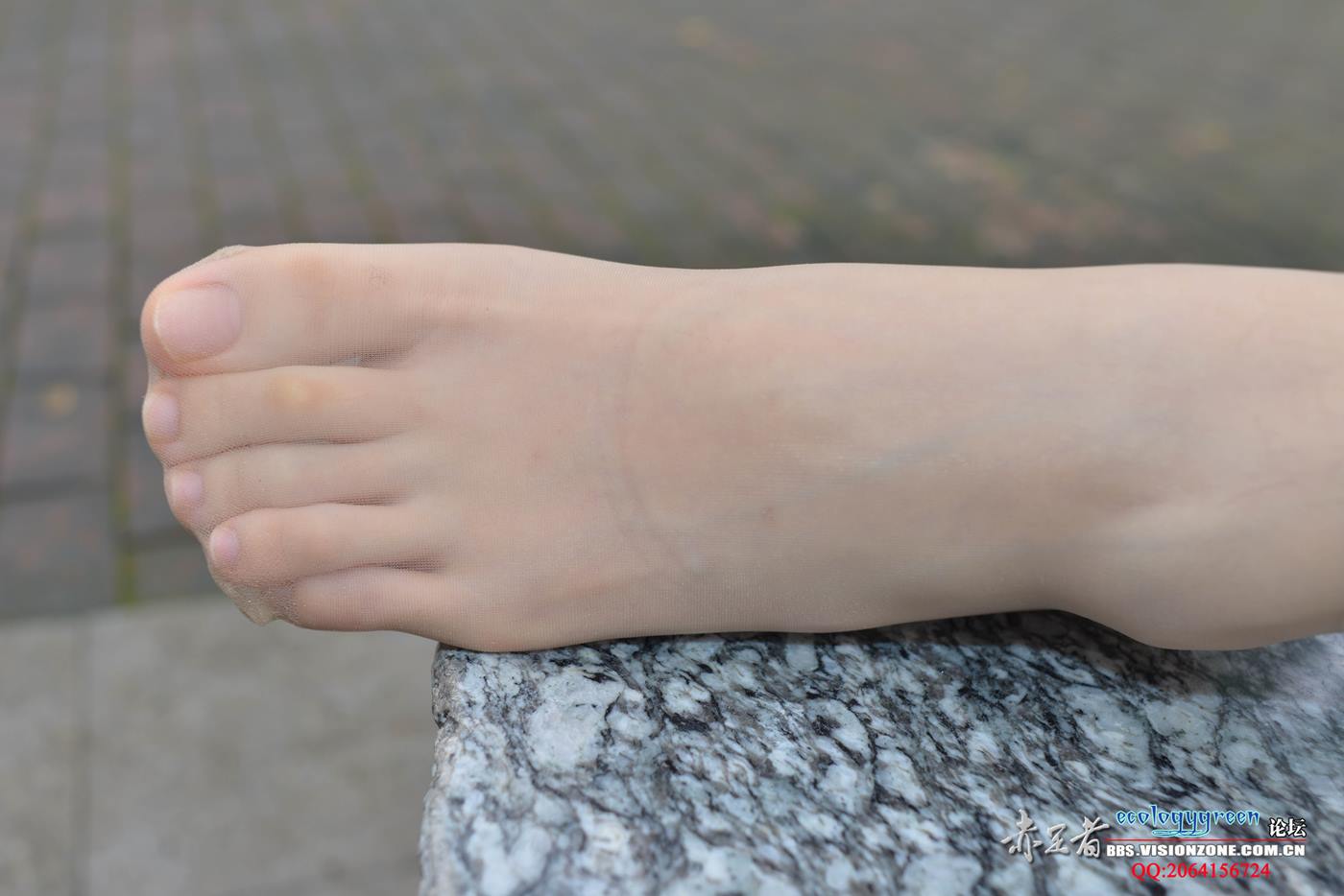 图片[26]-Ecologygreen摄影作品 NO.102 小晴又长又B又N的丝脚 [70P] – 速更版-美库