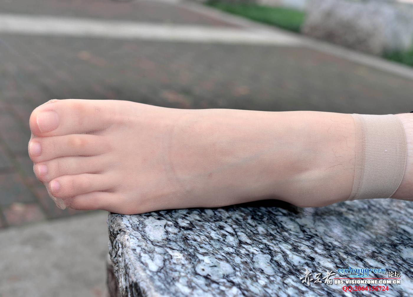 图片[27]-Ecologygreen摄影作品 NO.102 小晴又长又B又N的丝脚 [70P] – 速更版-美库