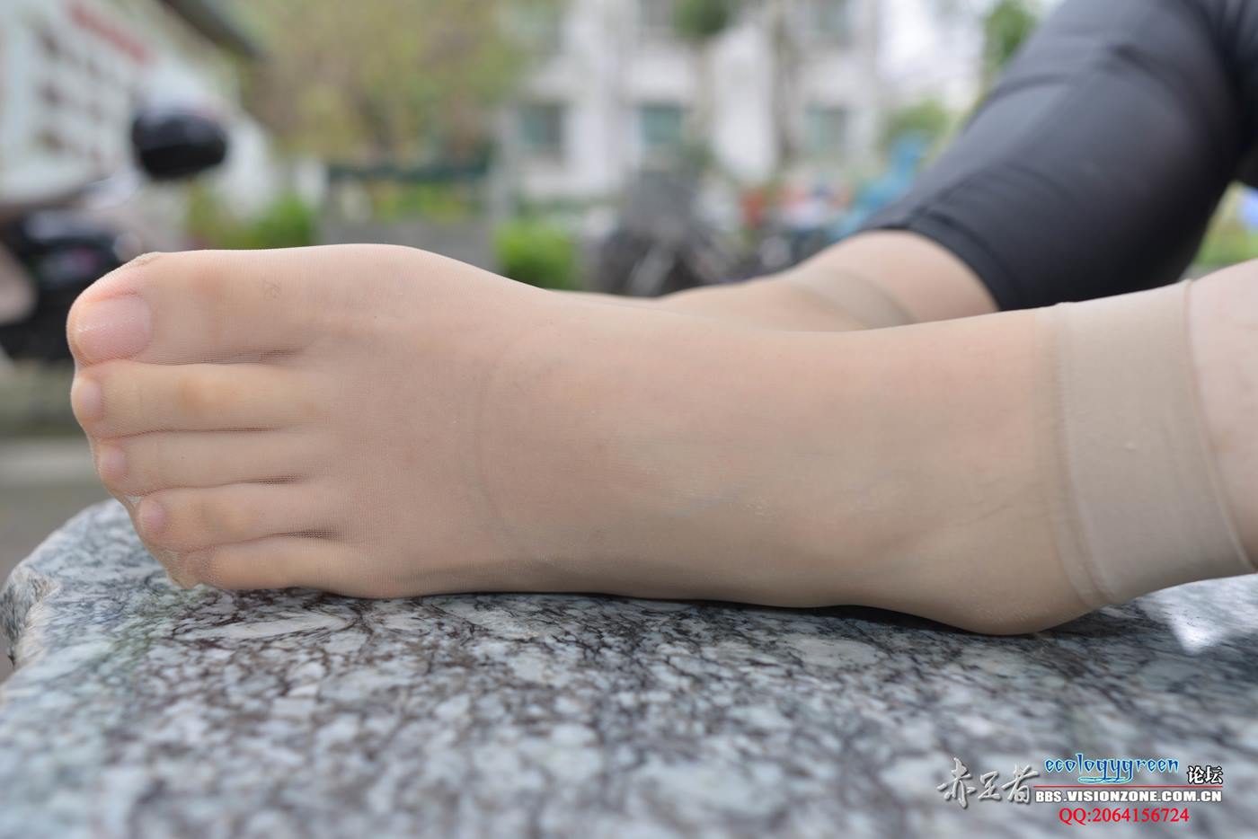 图片[42]-Ecologygreen摄影作品 NO.102 小晴又长又B又N的丝脚 [70P] – 速更版-美库