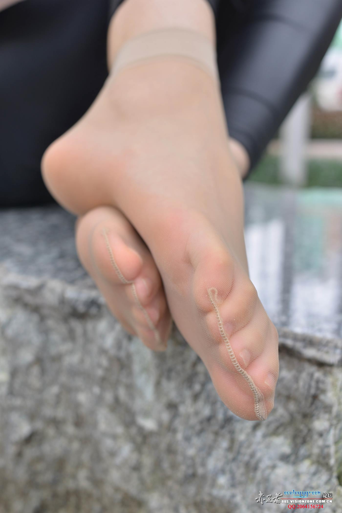 图片[50]-Ecologygreen摄影作品 NO.102 小晴又长又B又N的丝脚 [70P] – 速更版-美库