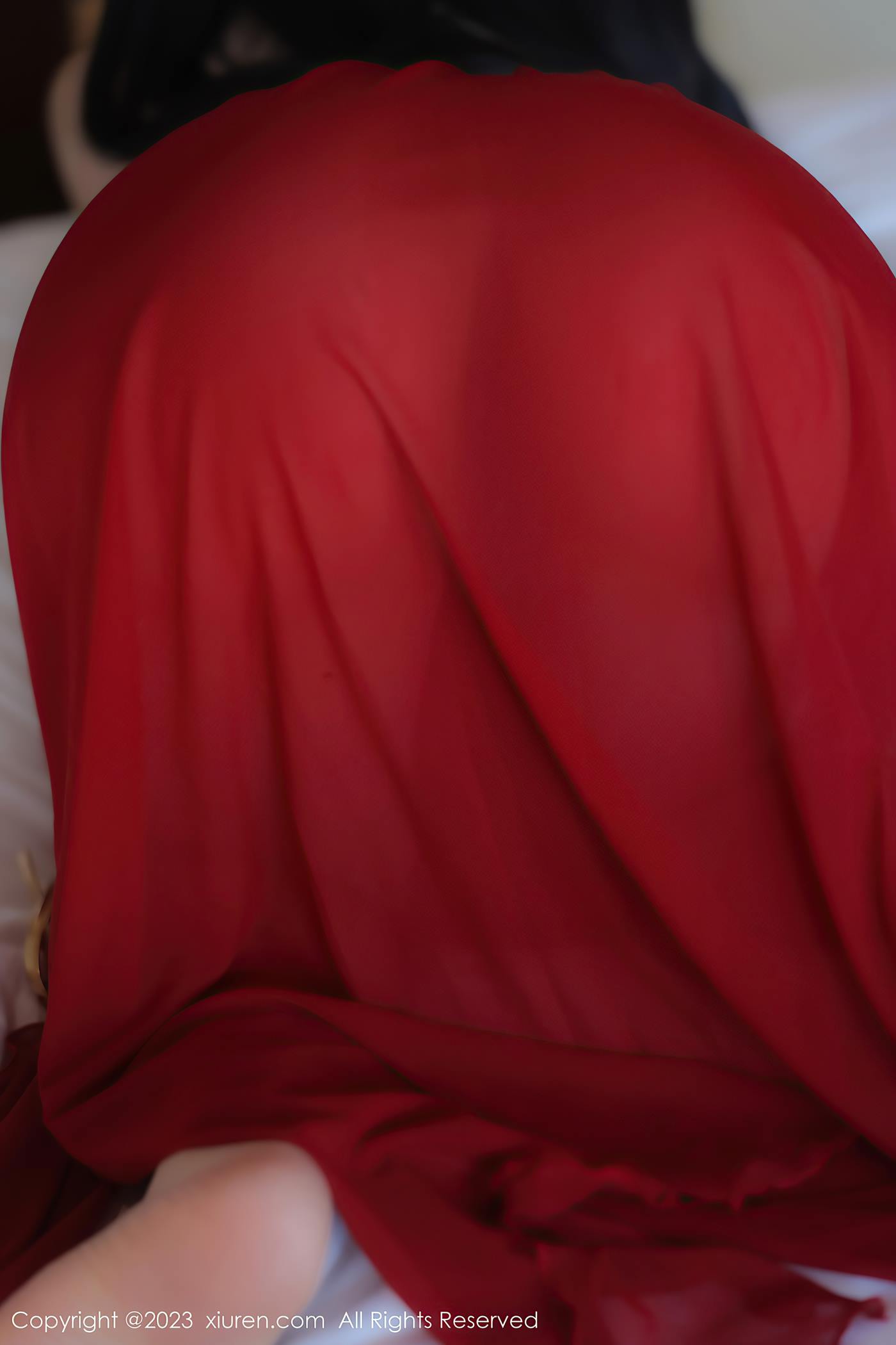 图片[13]-[Xiuren秀人网]2023.04.21 NO.6613 林珊珊[71+1P] – 速更版-美库