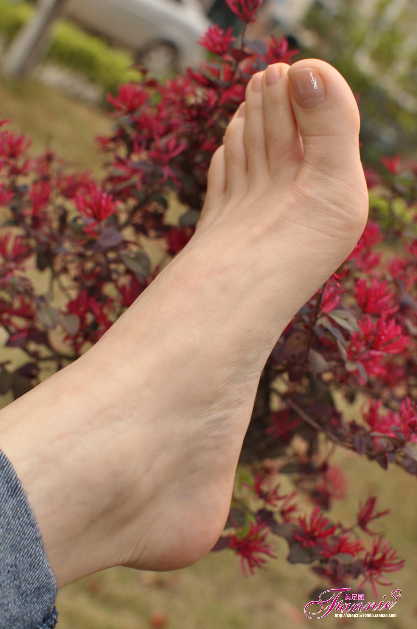 图片[51]-Fannie芬妮每足园 No.045 彩虹糖的梦1 [64P] – 速更版-美库