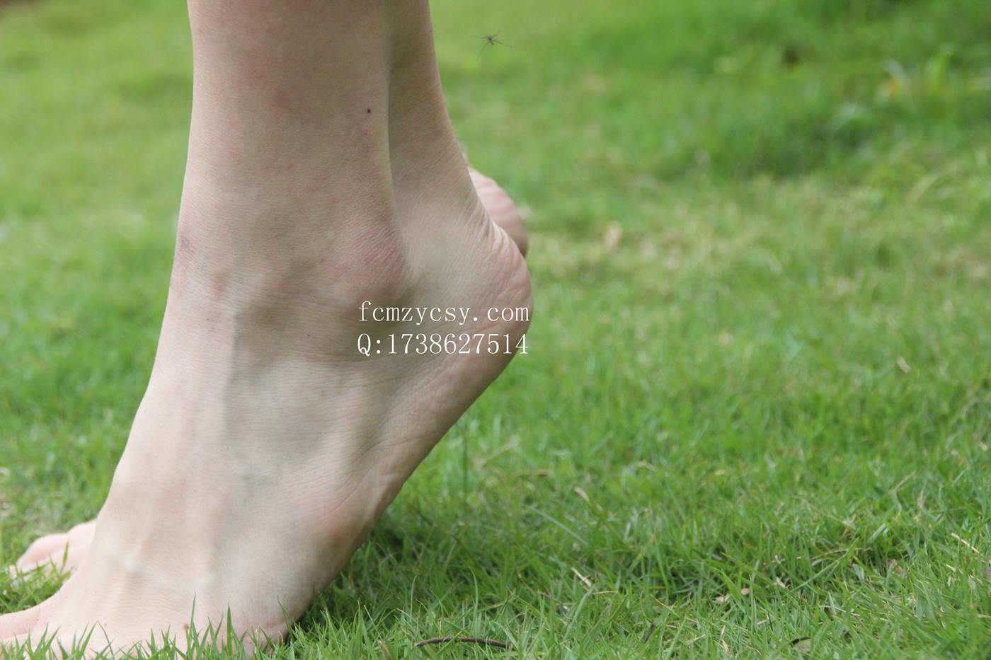 图片[23]-FCMZ原创学生足模摄影 No.016 芬芬 [189P] – 速更版-美库