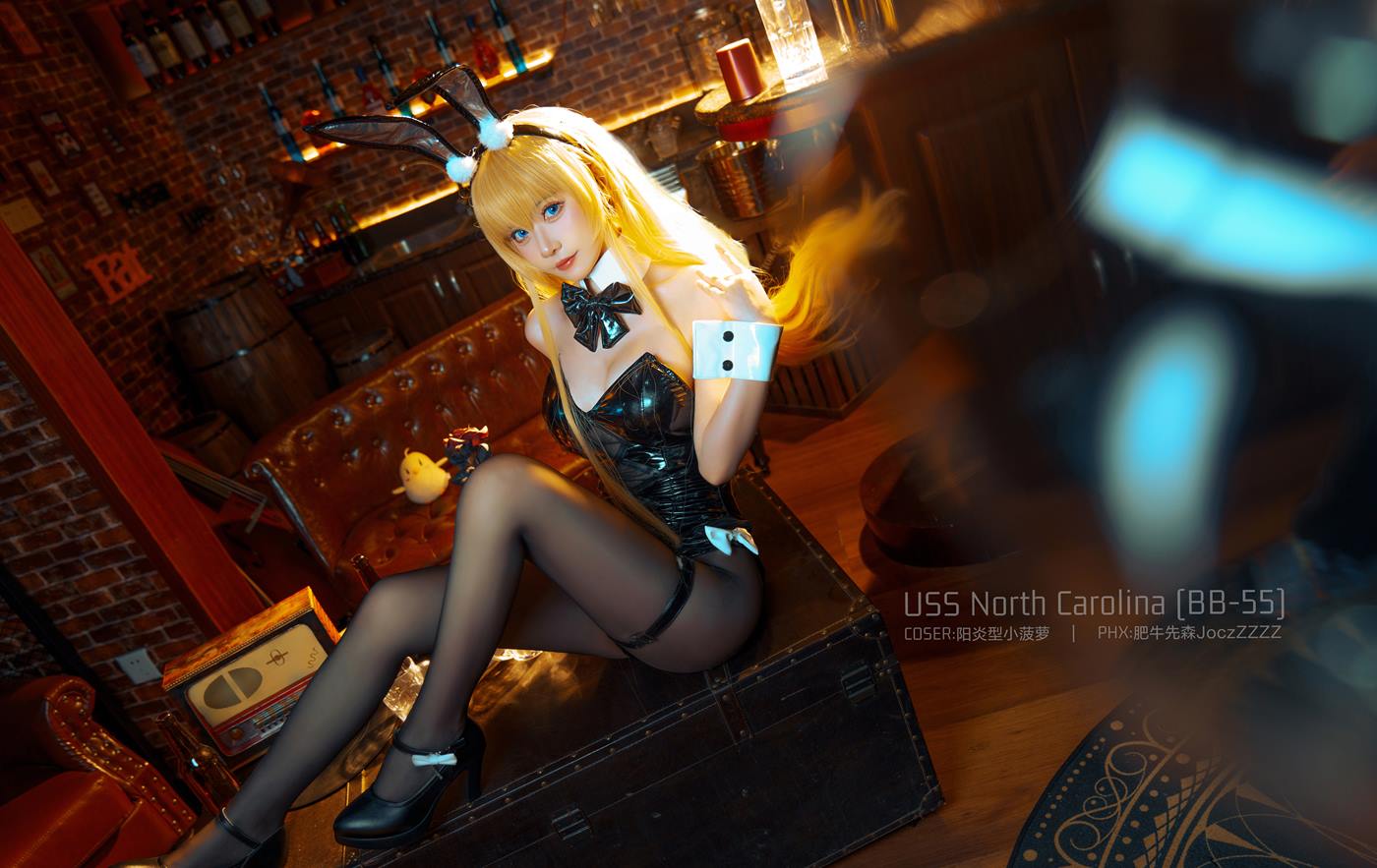 图片[14]-阳炎型小菠萝 – 北卡罗来纳[18P] – 速更版-美库