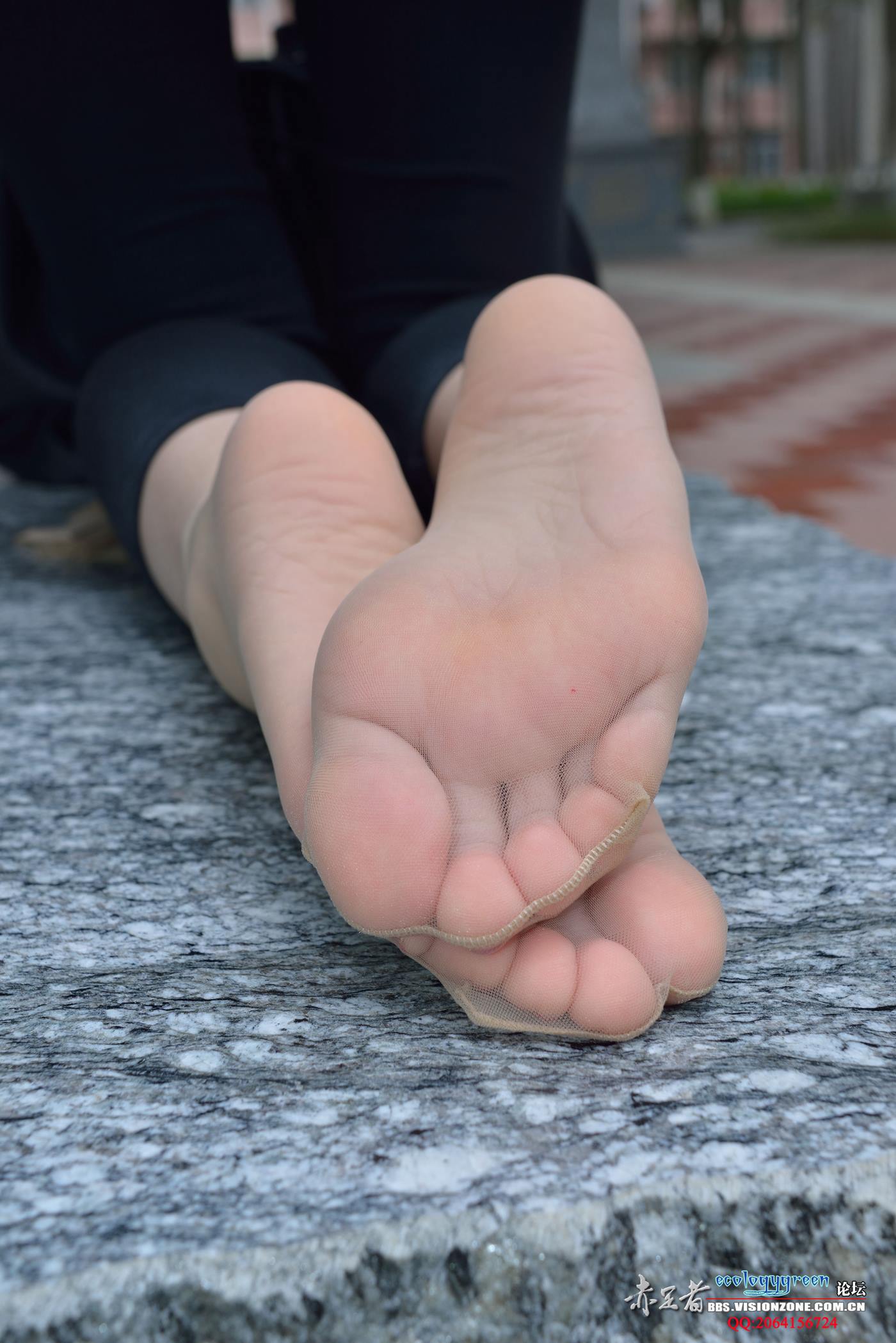 图片[38]-Ecologygreen摄影作品 NO.109 小雪丝族封镜之作[52P] – 速更版-美库