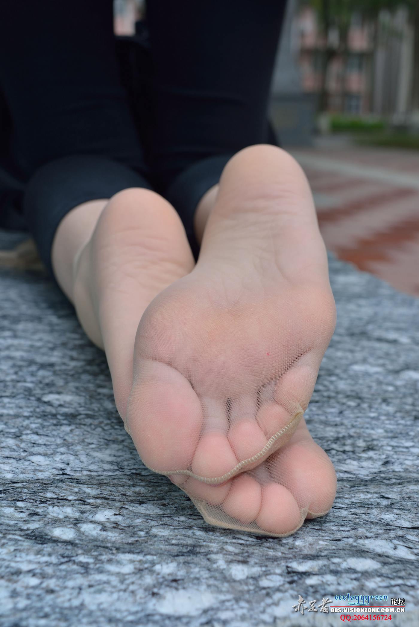 图片[40]-Ecologygreen摄影作品 NO.109 小雪丝族封镜之作[52P] – 速更版-美库