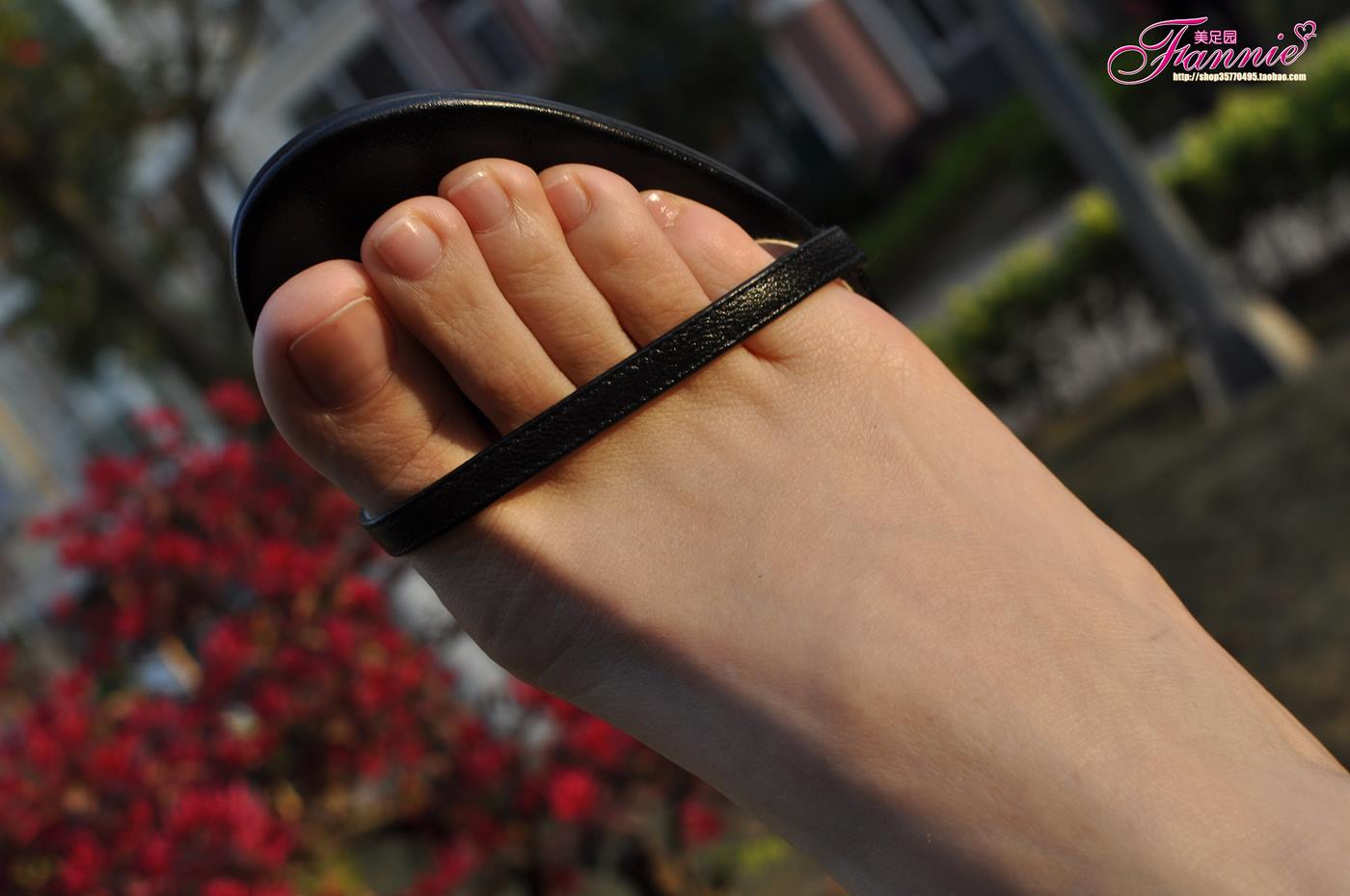 图片[33]-Fannie芬妮每足园 No.079 触摸阳光4 [43P] – 速更版-美库